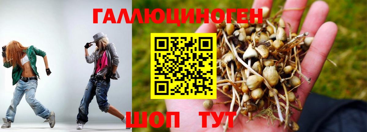 Галлюциногенные грибы Psilocybe  Вход с VPN  Семилуки 